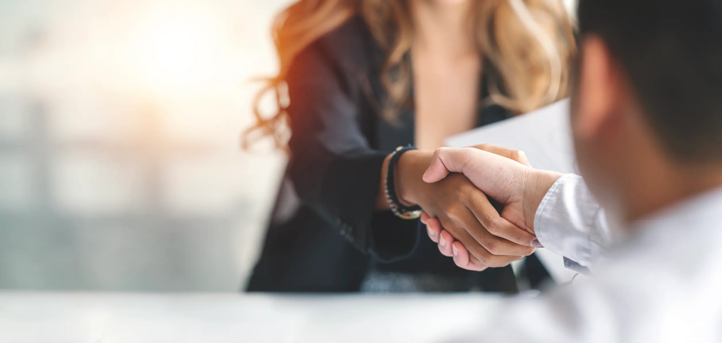 Handshake in a professional setting